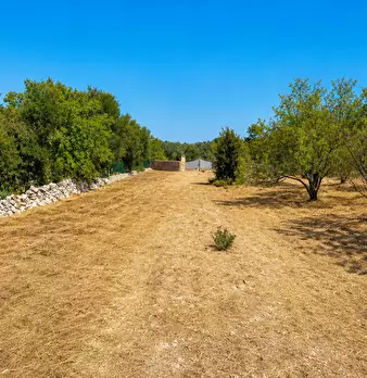 Foto annuncio 13