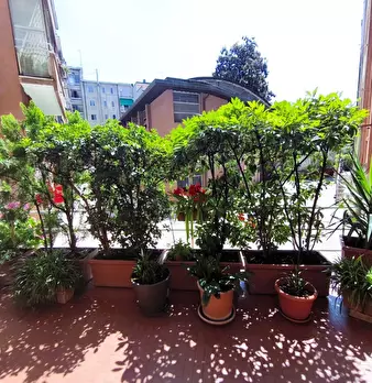 Foto annuncio 40