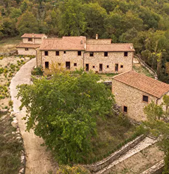 Foto annuncio 22