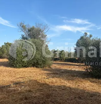 Foto annuncio 22