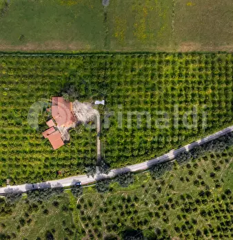Foto annuncio 23