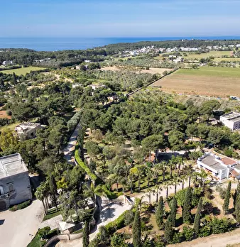 Foto annuncio 15