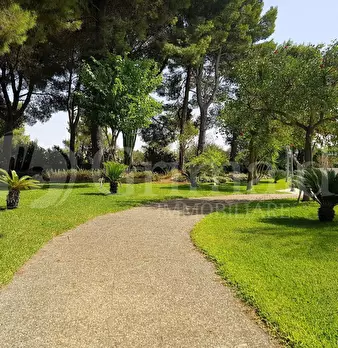 Foto annuncio 33