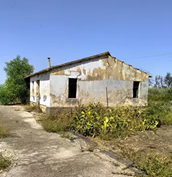 Foto annuncio 22