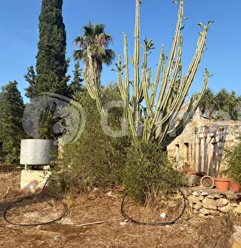 Foto annuncio 12