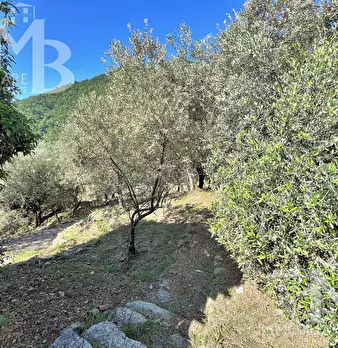 Foto annuncio 32