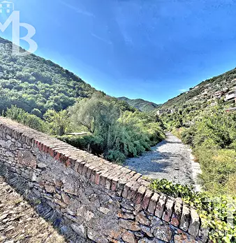 Foto annuncio 28