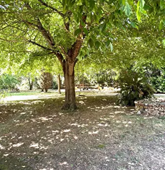 Foto annuncio 37
