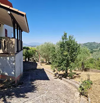 Foto annuncio 5