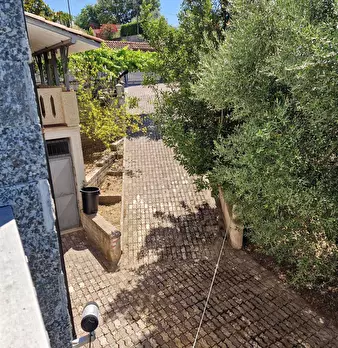 Foto annuncio 8