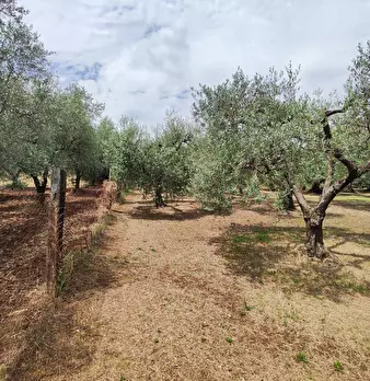 Foto annuncio 8