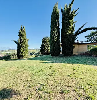 Foto annuncio 20