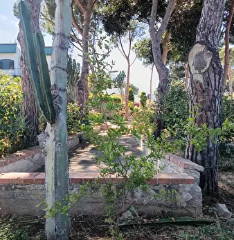 Foto annuncio 37