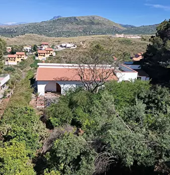 Foto annuncio 52