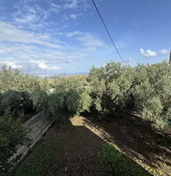 Foto annuncio 26