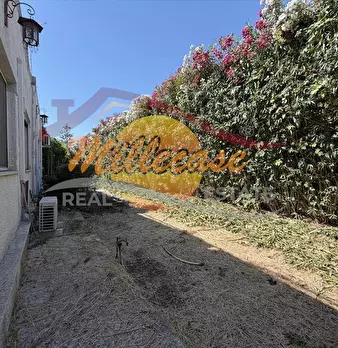 Foto annuncio 21