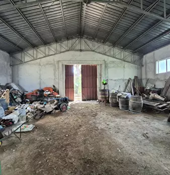 Foto annuncio 24