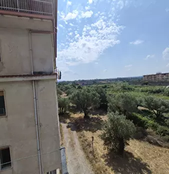 Foto annuncio 15