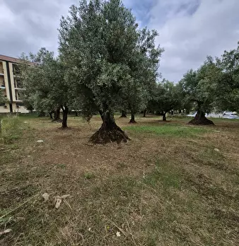 Foto annuncio 3