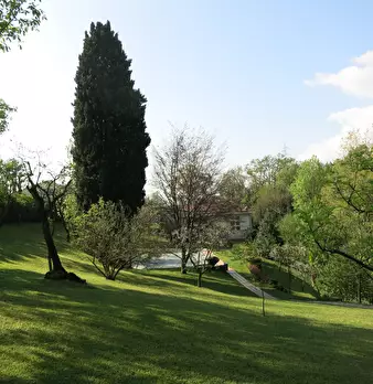 Foto annuncio 20