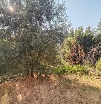 Foto annuncio 26