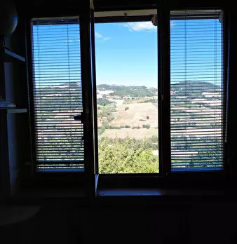 Foto annuncio 19