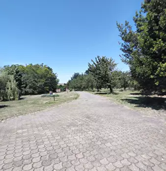 Foto annuncio 37