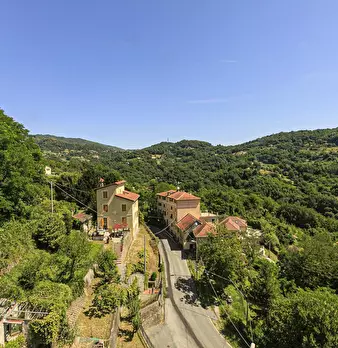 Foto annuncio 11