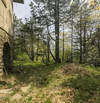 Foto annuncio 5