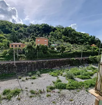 Foto annuncio 38