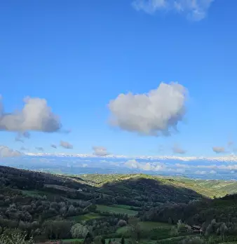 Foto annuncio 19