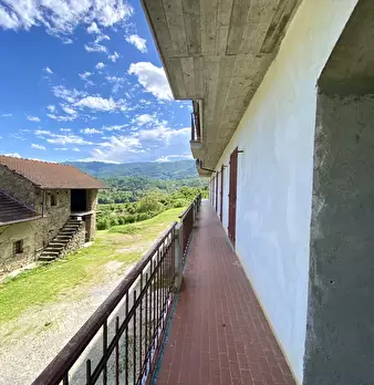 Foto annuncio 12