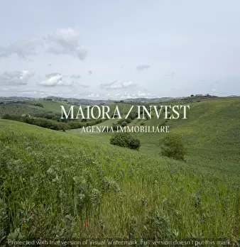 Foto annuncio 17