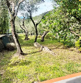 Foto annuncio 9