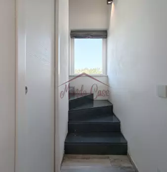 Foto annuncio 26