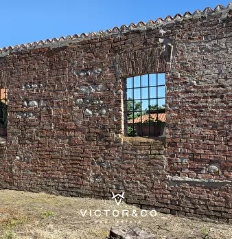 Foto annuncio 23