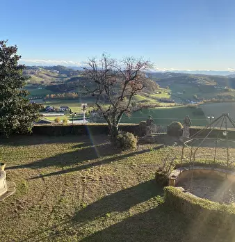 Foto annuncio 75