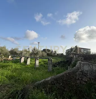 Foto annuncio 29