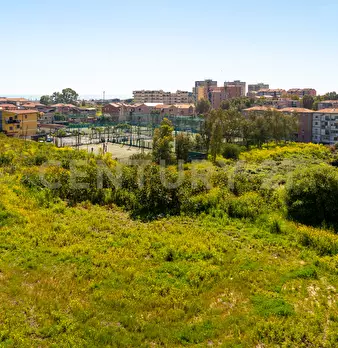Foto annuncio 12