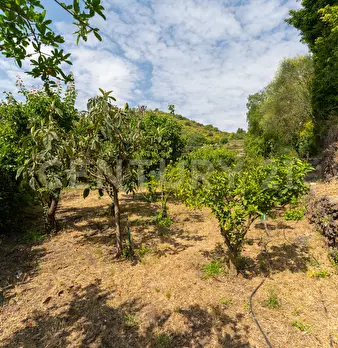 Foto annuncio 33
