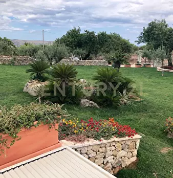 Foto annuncio 16