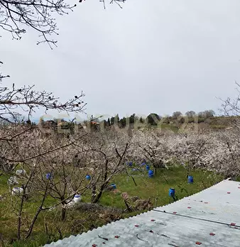 Foto annuncio 30