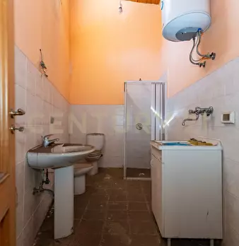 Foto annuncio 81