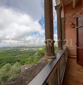 Foto annuncio 49