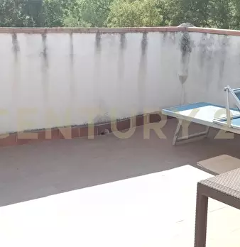 Foto annuncio 31