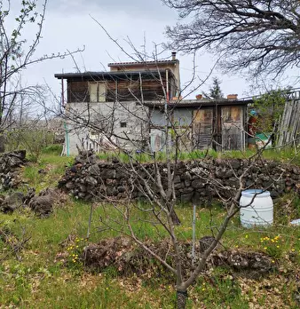 Foto annuncio 22