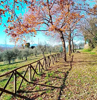Foto annuncio 35
