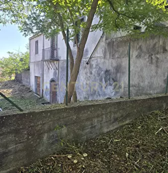Foto annuncio 31