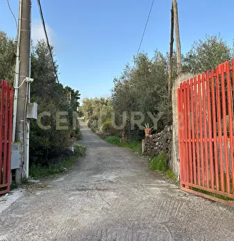 Foto annuncio 4