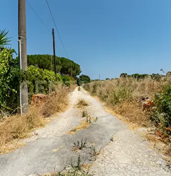 Foto annuncio 32